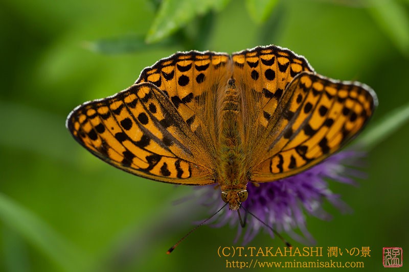 ../Images/7R250727 (213).jpg